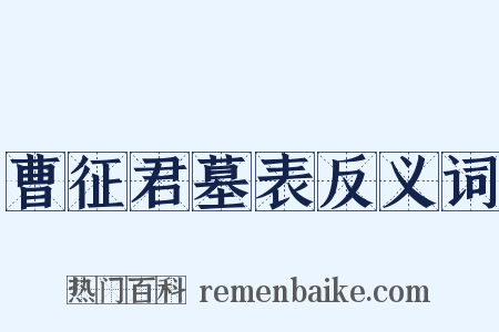 曹征君墓表反义词是什么意思的图片